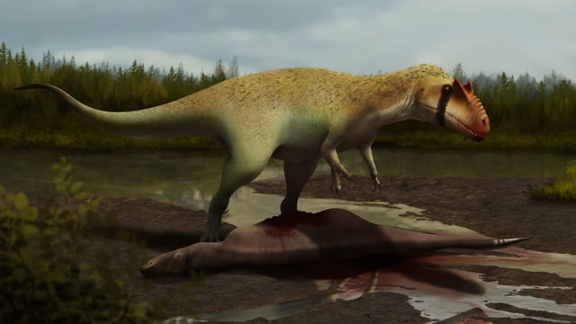Welcher Dinosaurier war der gef\u00e4hrlichste?  Wissen  Schweizer Radio und Fernsehen