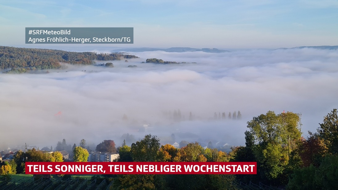 Blick auf ein Nebelmeer im Mittelland