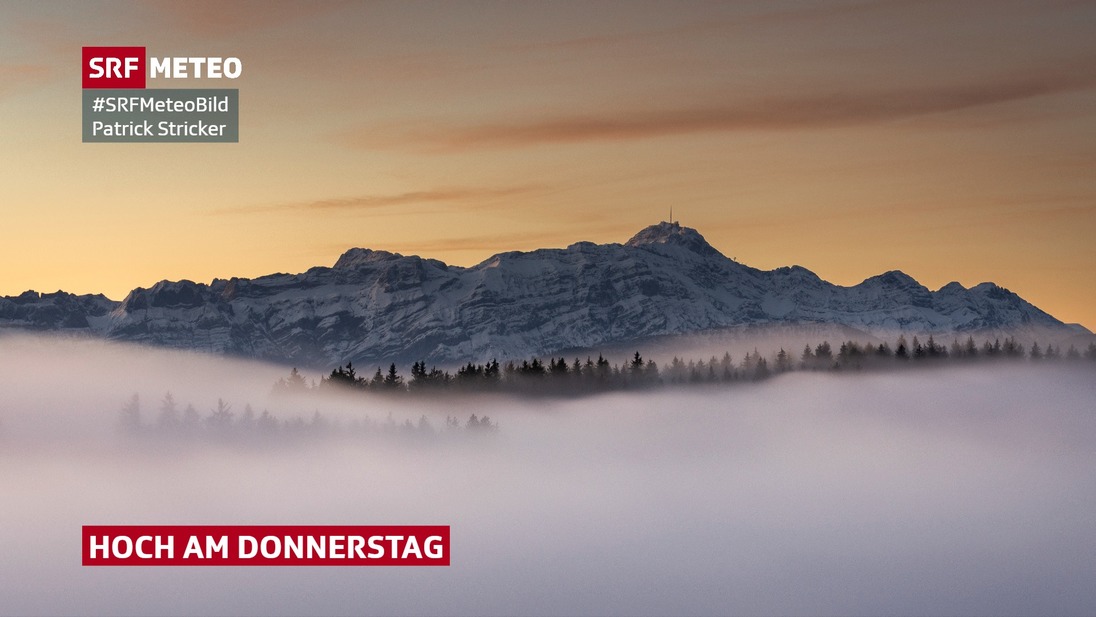 Ein Nebelmeer, darüber ragen Berge hinaus.