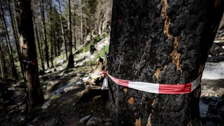 Grosse Vorsicht nötig – Waldbrandgefahr in Glarus steigt auf «erheblich»