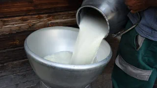 «Ewigkeitschemikalie» PFAS – Tests zeigen belastete Milch in Appenzell Ausserrhoden