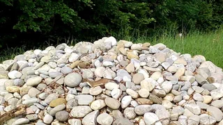 Biodiversität verbessern – Diese Haufen helfen Hermelinen