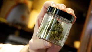 Zermürbender Kampf um Therapie – Cannabis für Schwerkranke – legal und trotzdem kaum zu bekommen