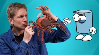 Kleine Tiere, grosse Gefahr – Warum Zecken gefährlich sind