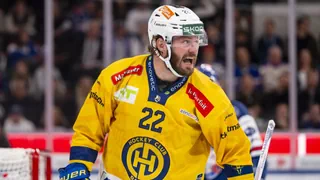 Spiel 4 im Playoff-Halbfinal – Davos jubelt in der Zürcher Festung und stellt auf 3:1
