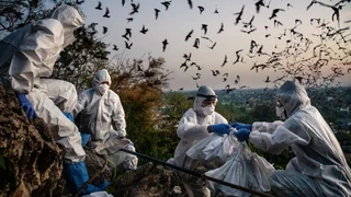 Dokumentarfilm «Blame» – Dem Ursprung des Coronavirus auf der Spur –  Virologe ordnet ein