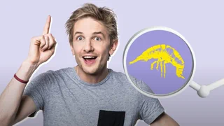 Tier des Jahres – Raphi rafft's – Auf der Suche nach dem Bachflohkrebs