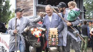 «Reine des Reines» – «Canaille» gewinnt Finale der Eringerkuh-Kämpfe