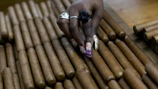 Schweiz und kubanischer Tabak – Havanna-Zigarren stützen die Diktatur in Kuba