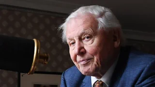 Britischer Naturfilmer – Sir David Attenborough: Der Meister der Naturdokus wird 100