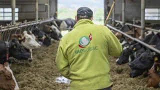 Sondersession 2026 – Mit 40 immer noch «Jungbauer»? +++ Vereidigungen im Nationalrat