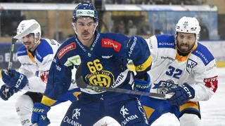 News aus der National League – Innenband gerissen: Saisonende für HCD-Stürmer Nussbaumer