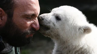 Wale und Co. – Diese Tiergeschichten bewegten die Welt