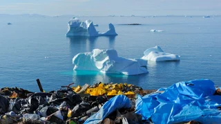 Müllhalde Arktis – Plankton und Pottwal in Plastikmüll