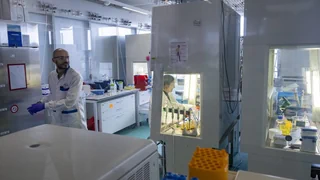 Ausbau in Basel – Neues Roche-Zentrum: Mini-Därme aus menschlichen Stammzellen