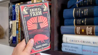 Klassiker der Weltliteratur – Diktaturen fallen nicht vom Himmel: «Farm der Tiere» wird 80