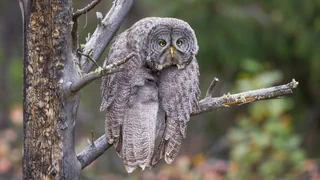 Prämierte Schnappschüsse – Montagsblues? Diese Bilder helfen Ihnen vielleicht