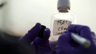 Ewigkeitschemikalien im Blut – Bund stoppt PFAS-Studie – «absolut fahrlässige Politik»