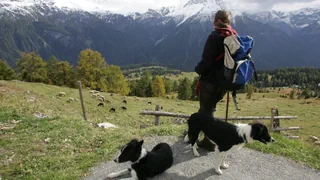 Neuer Kurs für Alphirtinnen – Wenn Wolf und Wanderer zur Herausforderung werden