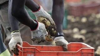 Billige Tomaten und Zucchetti – Darum wurden vier Erntehelfer in Kalabrien ermordet