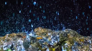 Wasserqualität in der Schweiz – Leben im Grundwasser deutlich geschädigt