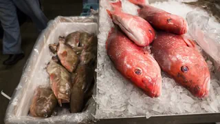 Fischgerichte für Zuhause – So gelingt der Fisch für Karfreitag garantiert