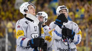 Nach Spiel 5 im Playoff-Final – «Do or die» statt Meisterpucks: Gottérons Traum droht zu platzen