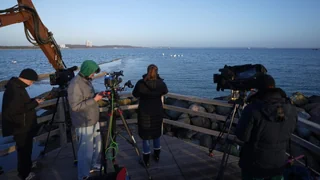 Hoffnung an der Ostseeküste – Gestrandeter Buckelwal hat sich befreit