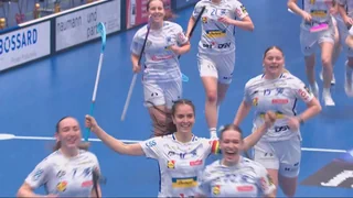 Hallensport am Samstag – Die Jets legen in Zug wieder vor