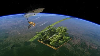 Satellit «Biomass» – Wie aus dem All der Wald vermessen wird