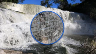 Gegen den Strom – Wie kleine Fische einen grossen Wasserfall überwinden – aufwärts