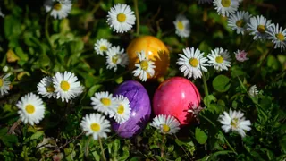 Ritual – Wieso suchen wir an Ostern Eier, anstatt sie zu verschenken?