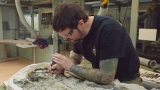 Saurier-Forschung – Mona Lisa der Dinosaurier: Schweizer Sensationsfund in den USA