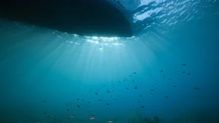 Schutz der Meere – Die Schweiz und der umstrittene Schatz in der Tiefsee