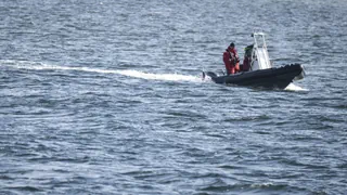 Keine Sichtung bislang – Boote suchen vor der Ostseeküste nach abgetauchtem Buckelwal
