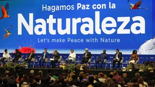 Weltnaturkonferenz Kolumbien – Abruptes Ende und ernüchternde Ergebnisse in Cali
