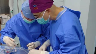 Tiere als Organspender – Erstmals eine Schweinelunge in hirntoten Menschen transplantiert