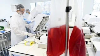 HIV und Krebs – Wie «Wunderheilungen» von Krebs und HIV die Medizin voranbringen