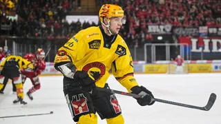 News aus der National League – Ejdsell zurück nach Schweden – Sgarbossa zu den Lakers
