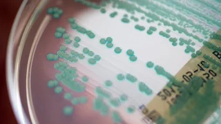 Wichtige Arzneimittel – Sandoz beklagt Chinas Subventionen für Antibiotika