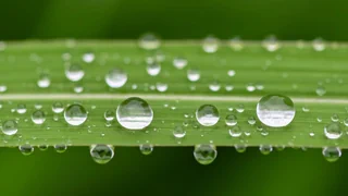 Belastet mit PFAS – Weltweit fallen mit dem Regen Chemikalien vom Himmel