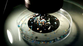 Ewigkeitschemikalien im Visier – Schweiz verschärft Regeln für Mikroplastik und PFAS