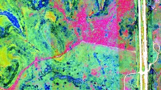 Aufnahmen aus dem All – Solche Bilder können die Artenvielfalt retten