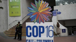 UNO-Biodiversitätskonferenz – COP16: Jetzt müssten den Worten Taten folgen