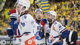Nach Out im Playoff-Halbfinal – ZSC: Einfach nur Aeschlimann – oder doch der fehlende Hunger?