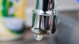 Ewige Chemikalien – PFAS-Abbau: sauberes Wasser durch Bakterien?