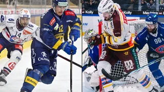 Playoff-Halbfinals ab Samstag – Reprise zwischen Davos und ZSC – Freiburg gegen Genf-Servette