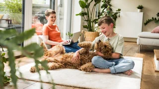 Tierische Mitbewohner – Hunde verändern die Raumluft