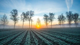 Frostgefahr im April – Empfindliche Pflanzen müssen noch warten