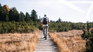 Langlebigkeits-Forschung – Longevity – der Hype ums schöne lange Leben